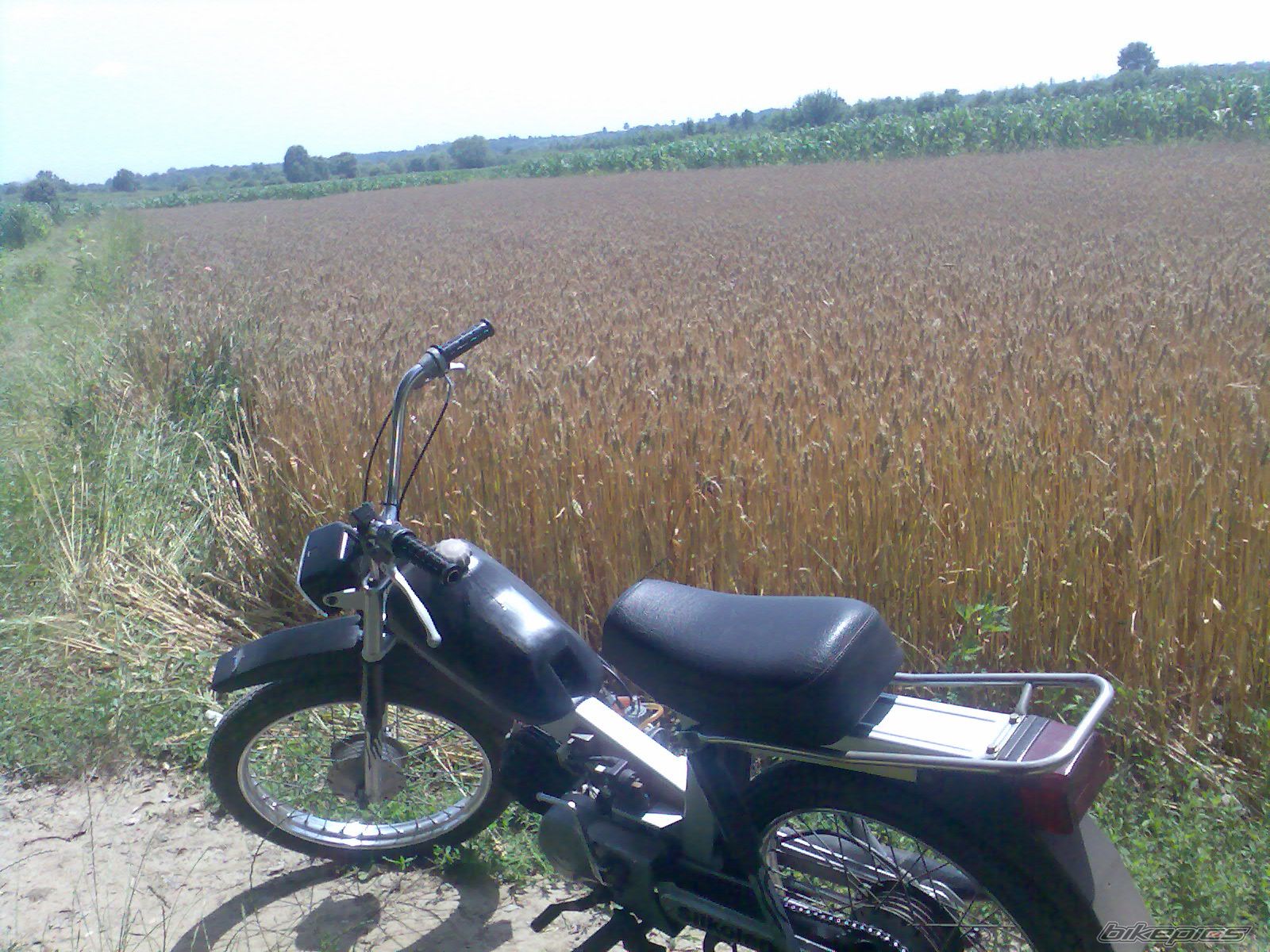 Photo 1822587