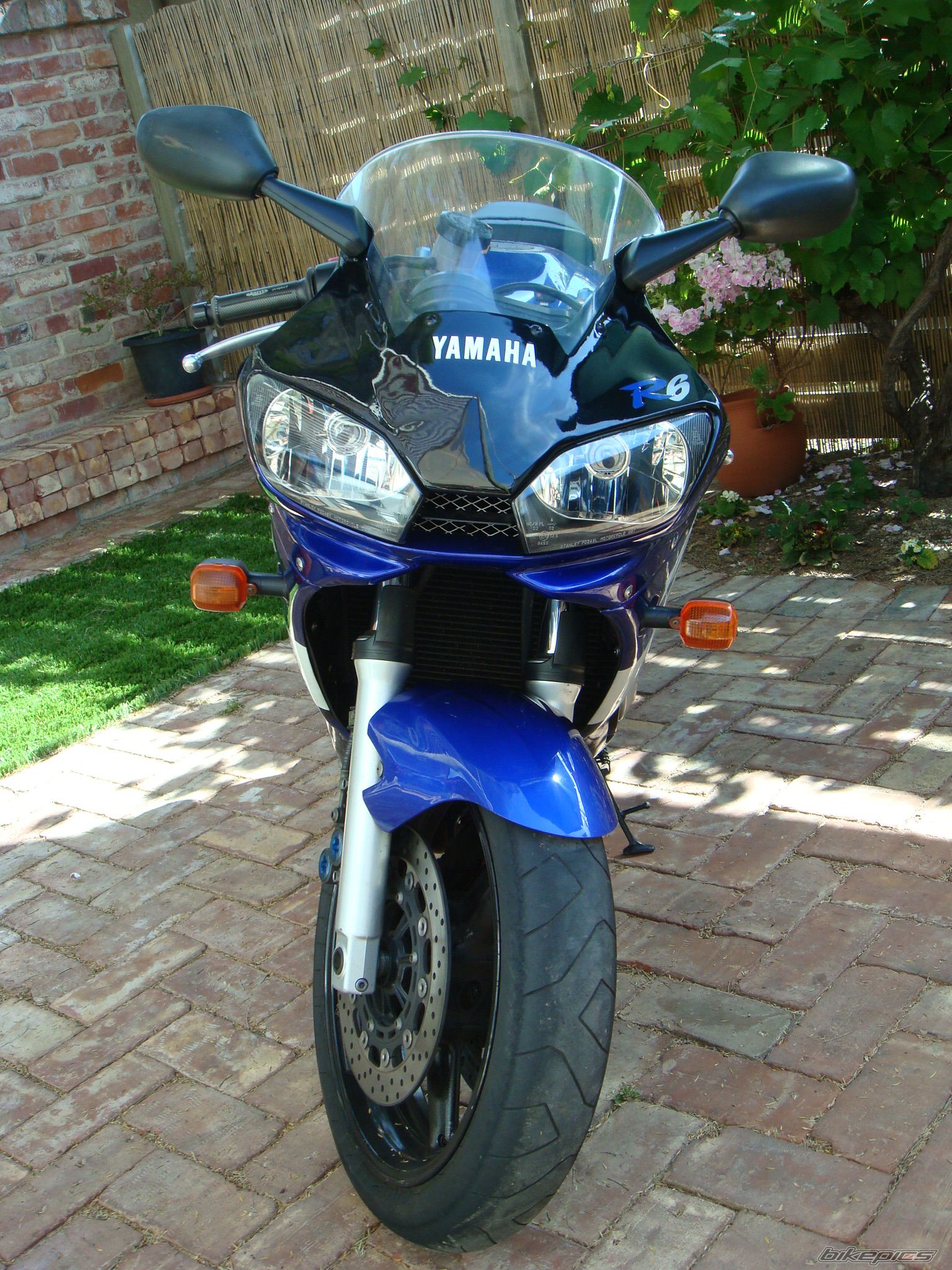 Photo 1824968