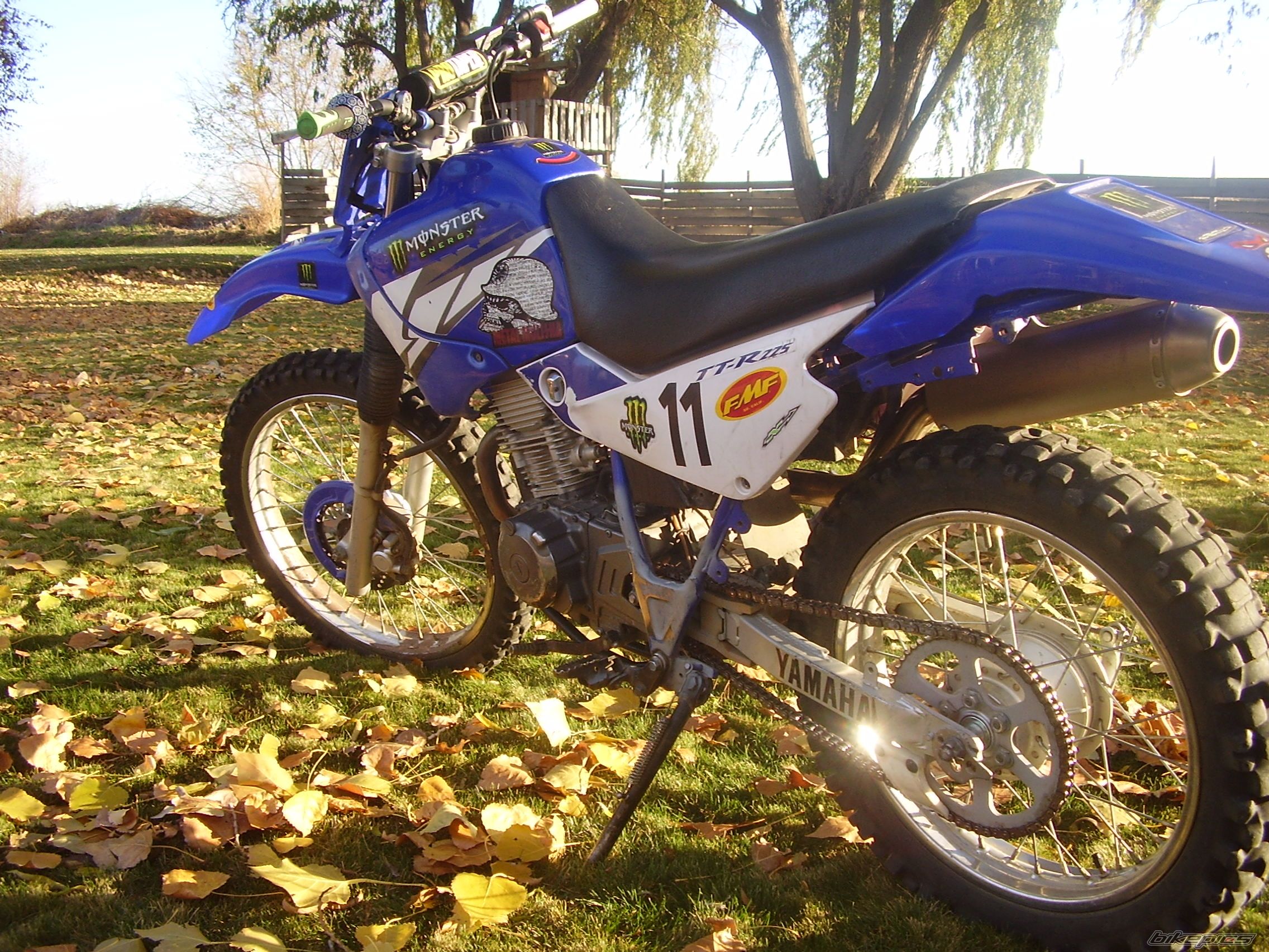 Photo 1827266