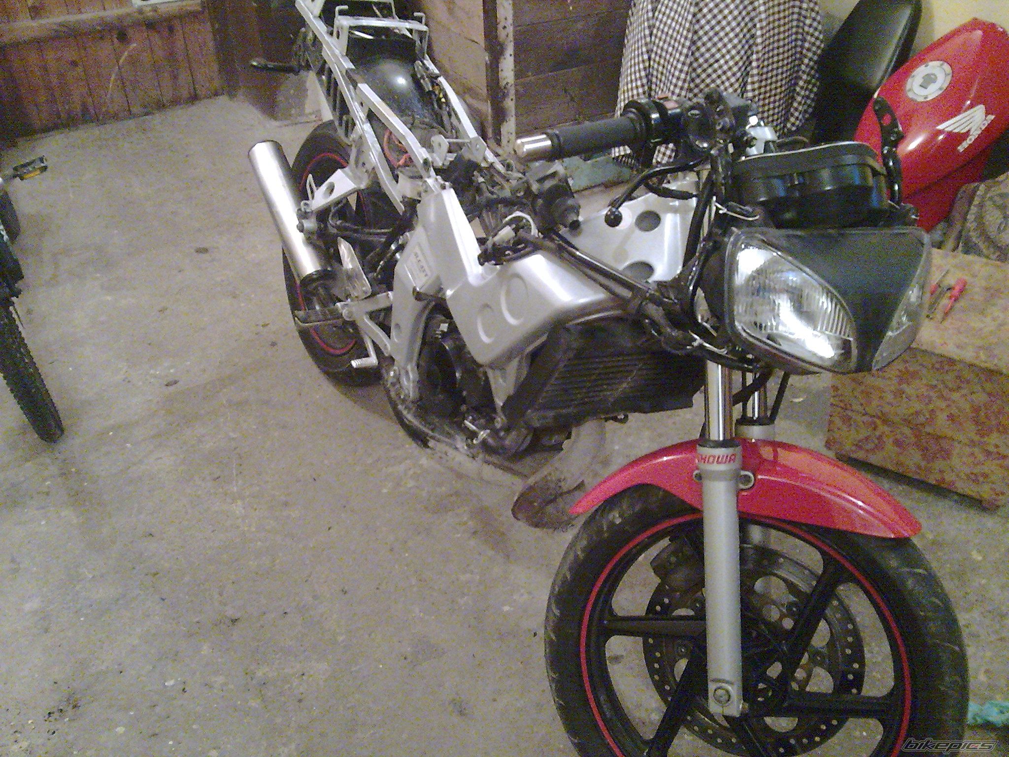 Photo 1830276