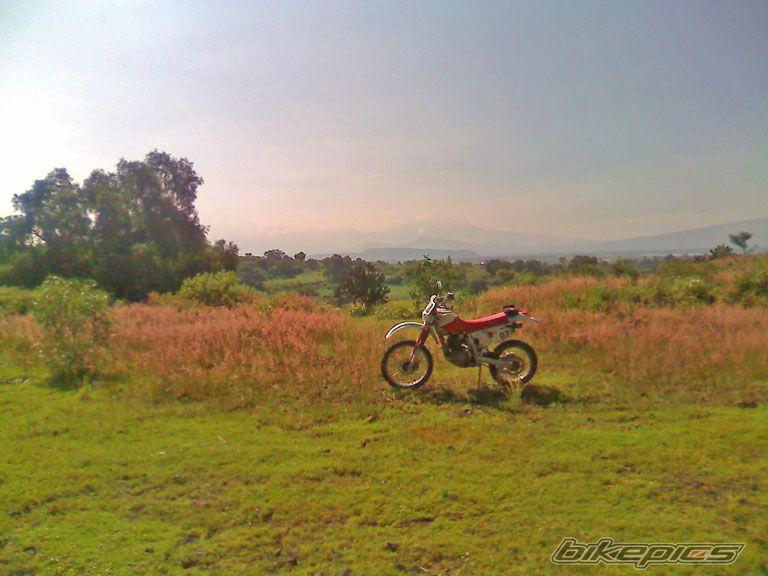 Photo 1842439