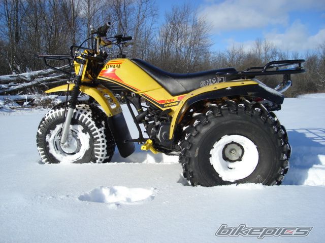 Photo 1848263