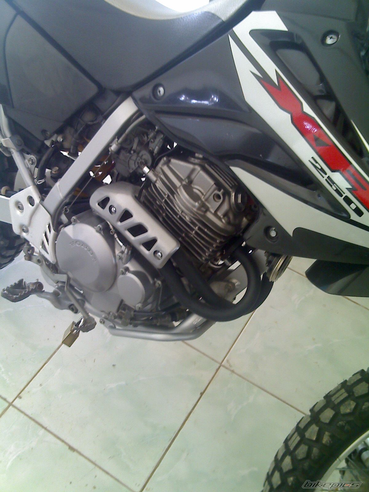 Bike Photo 1853735