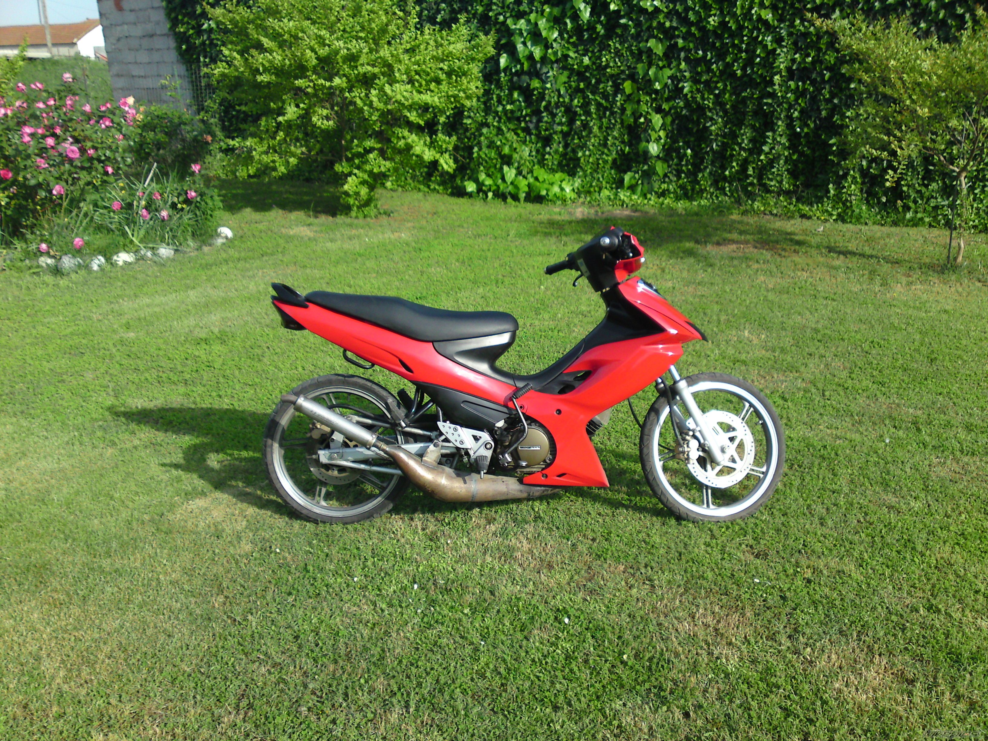 Photo 1862025