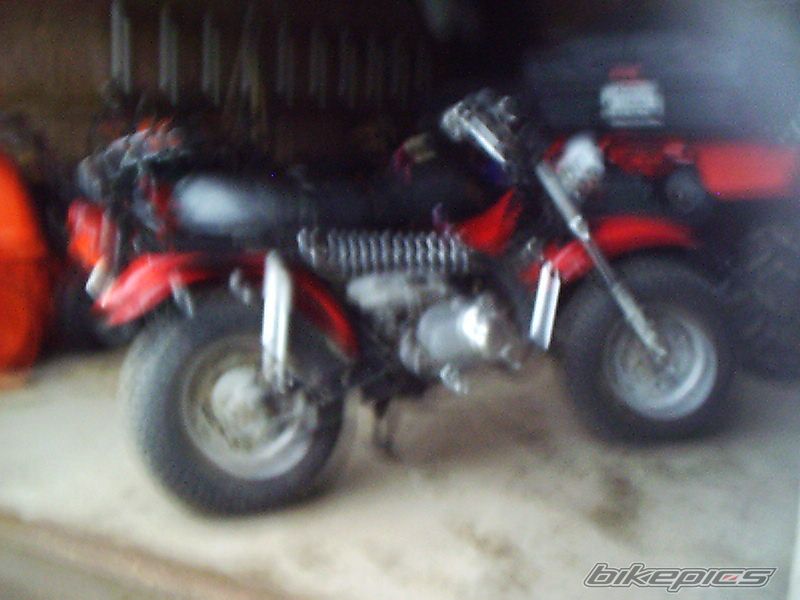 Photo 1884310