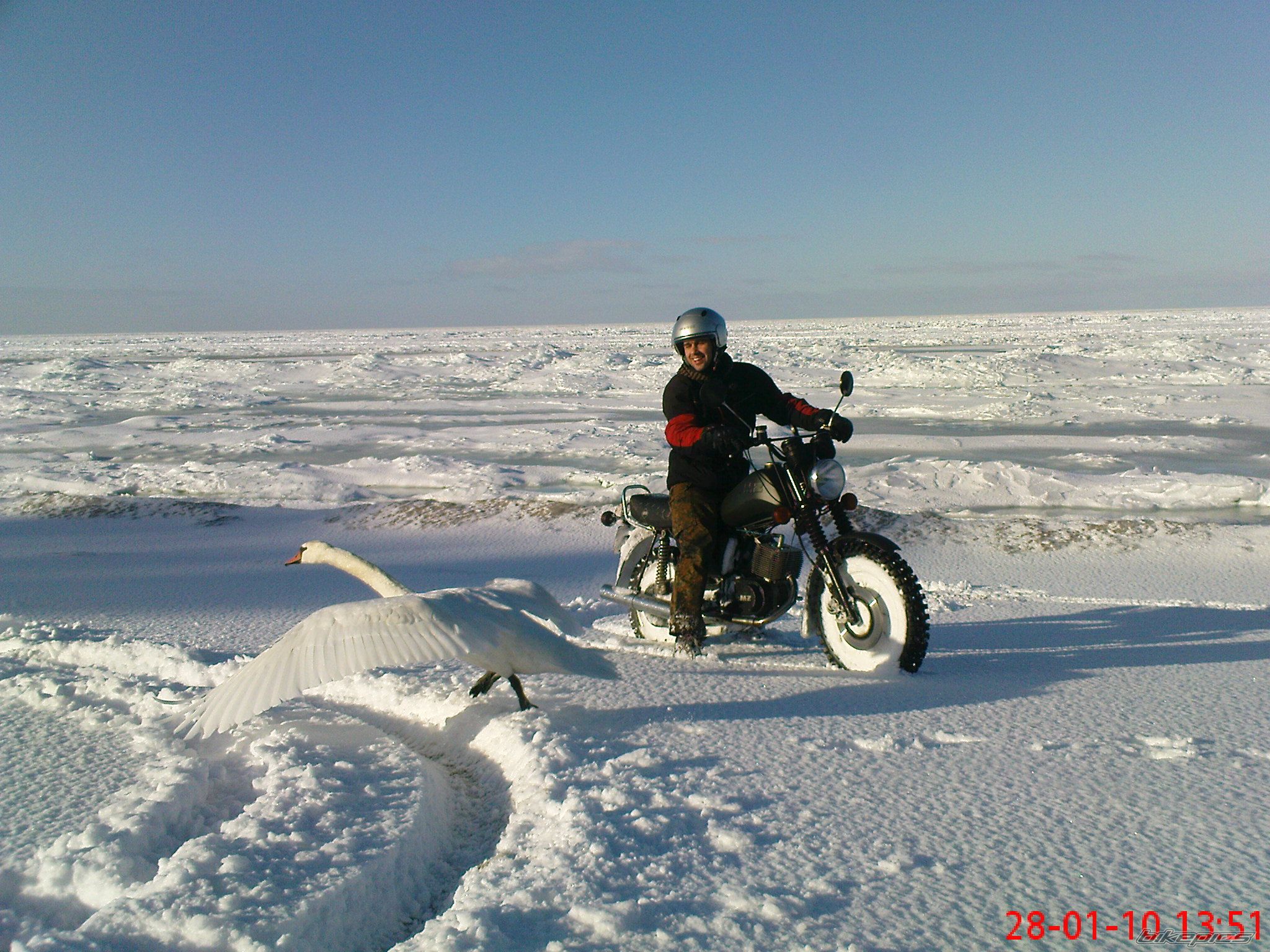 Photo 1888229