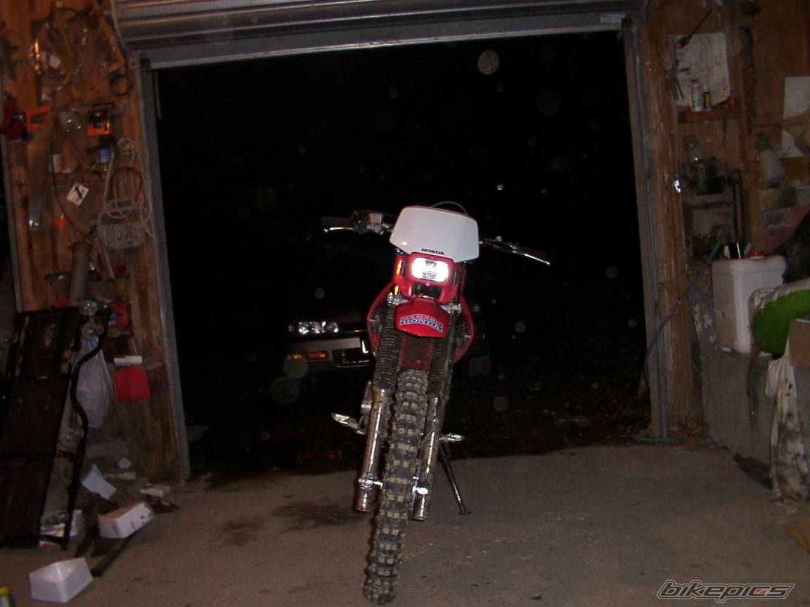 Photo 188999