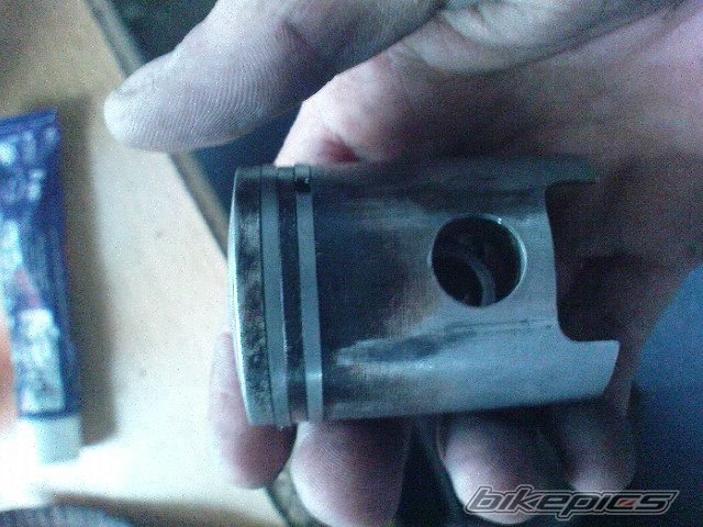 Photo 1899860