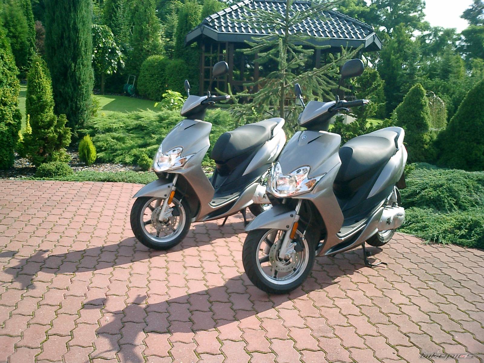 Bike Photo 190183