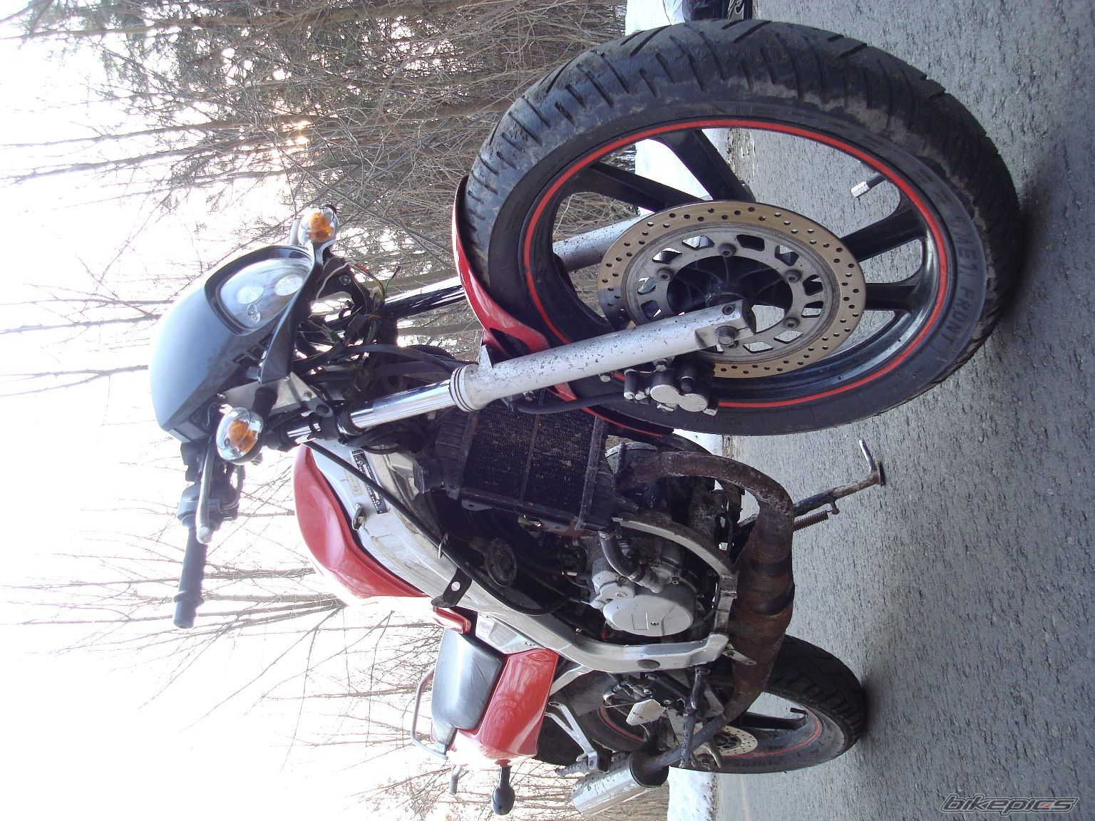 Bike Photo 1919833
