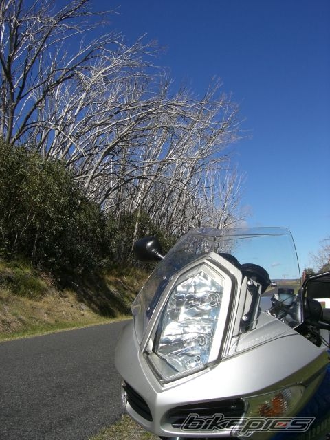Photo 1925068