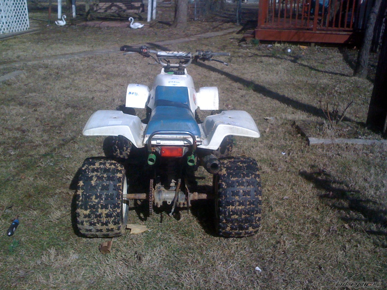 Photo 1929031