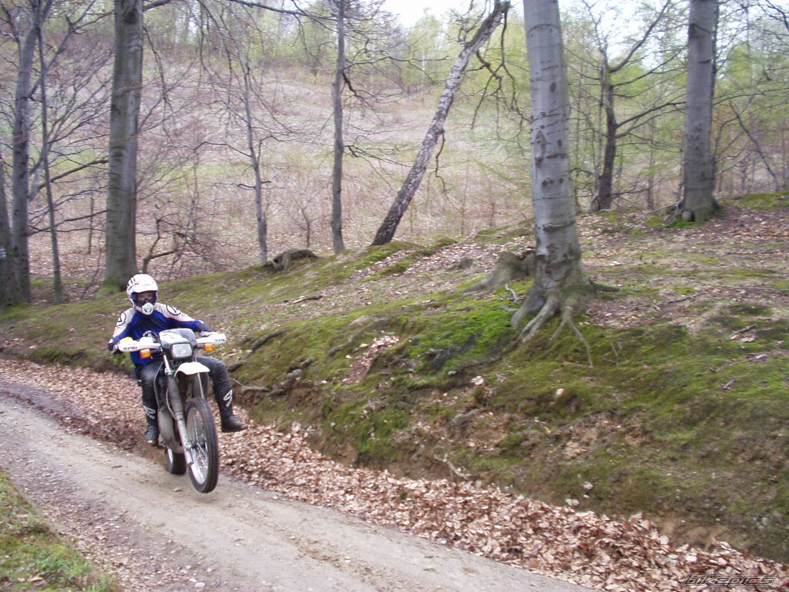 Bike Photo 193171