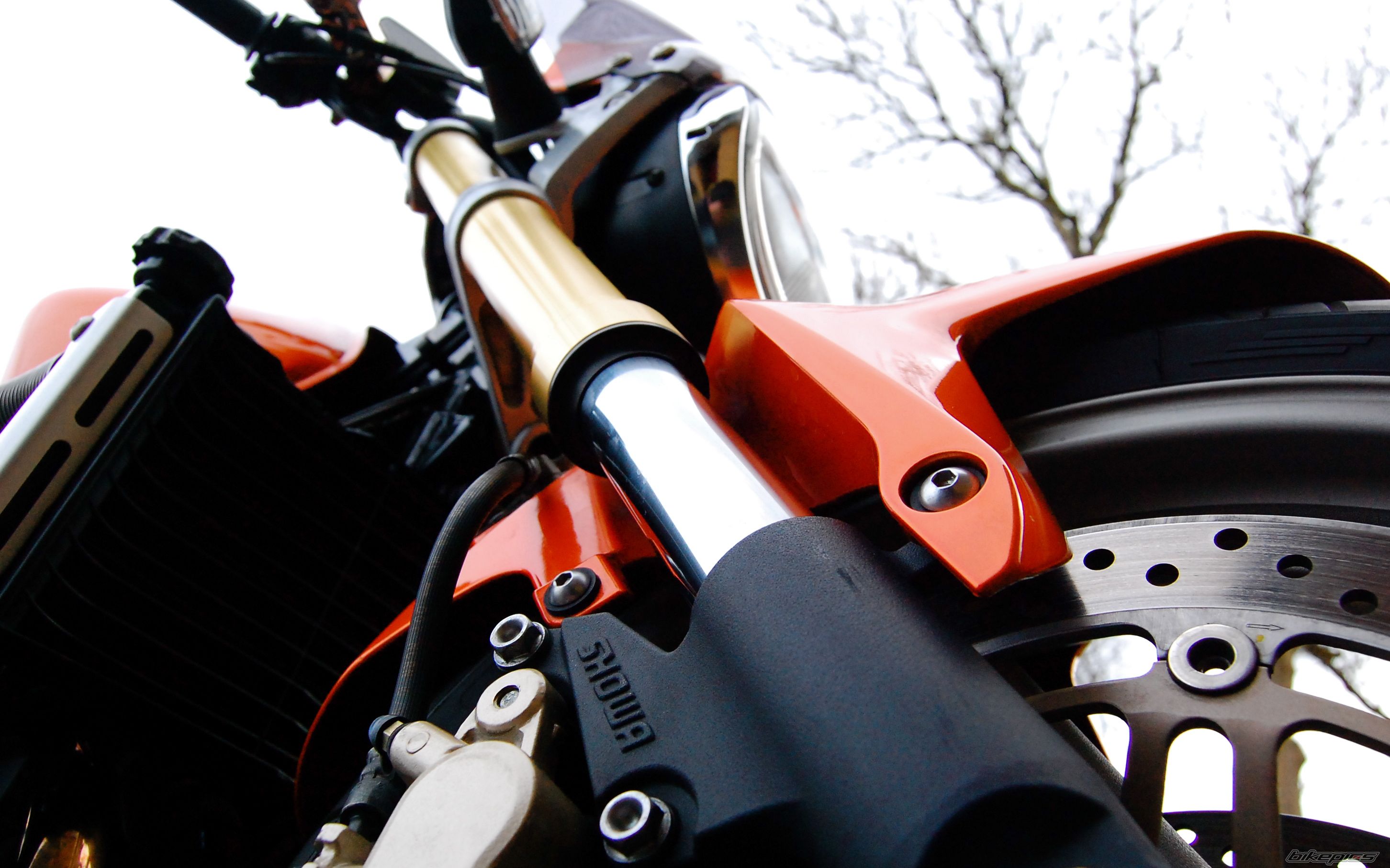 Bike Photo 1936171