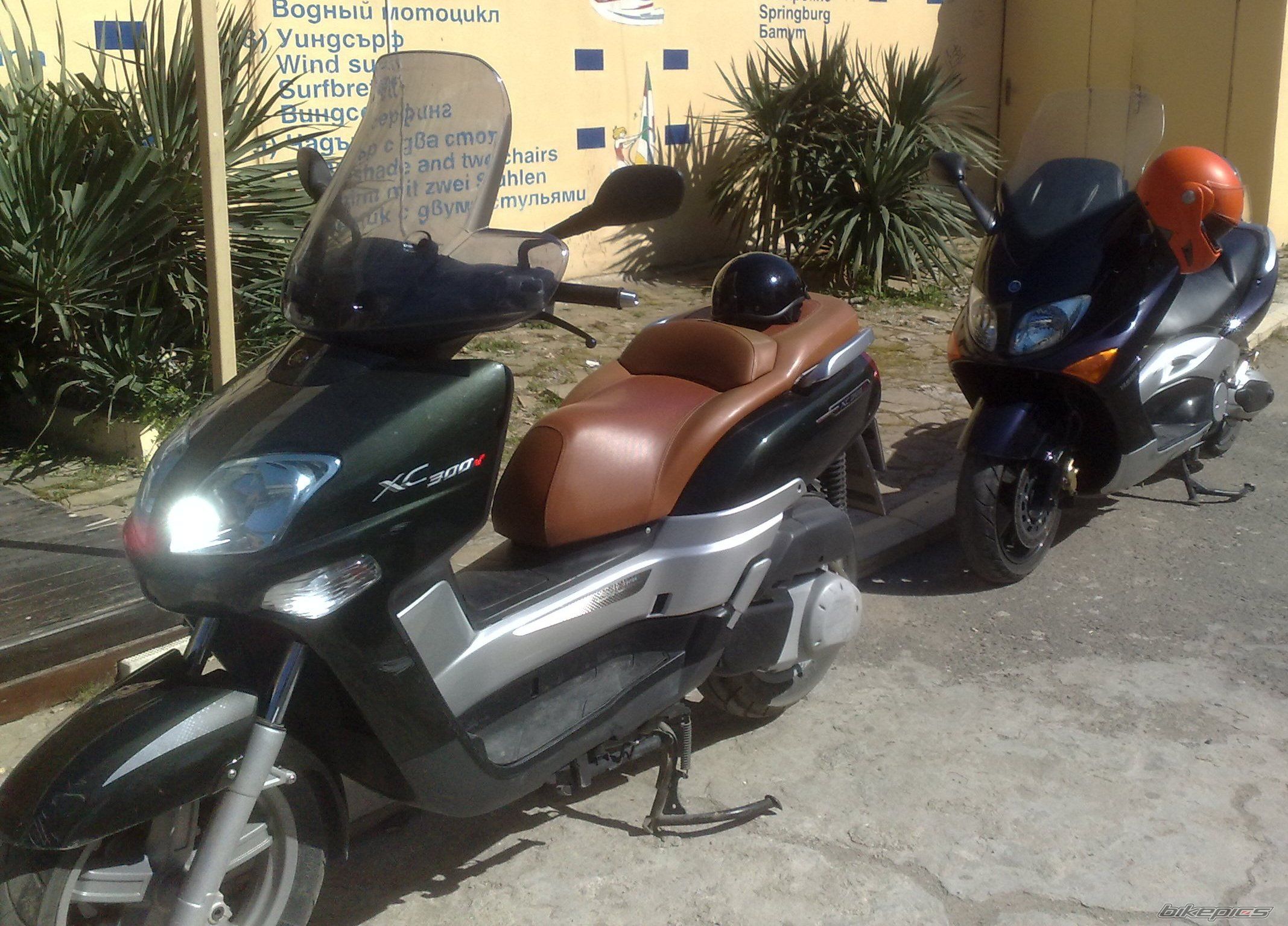 Photo 1936330