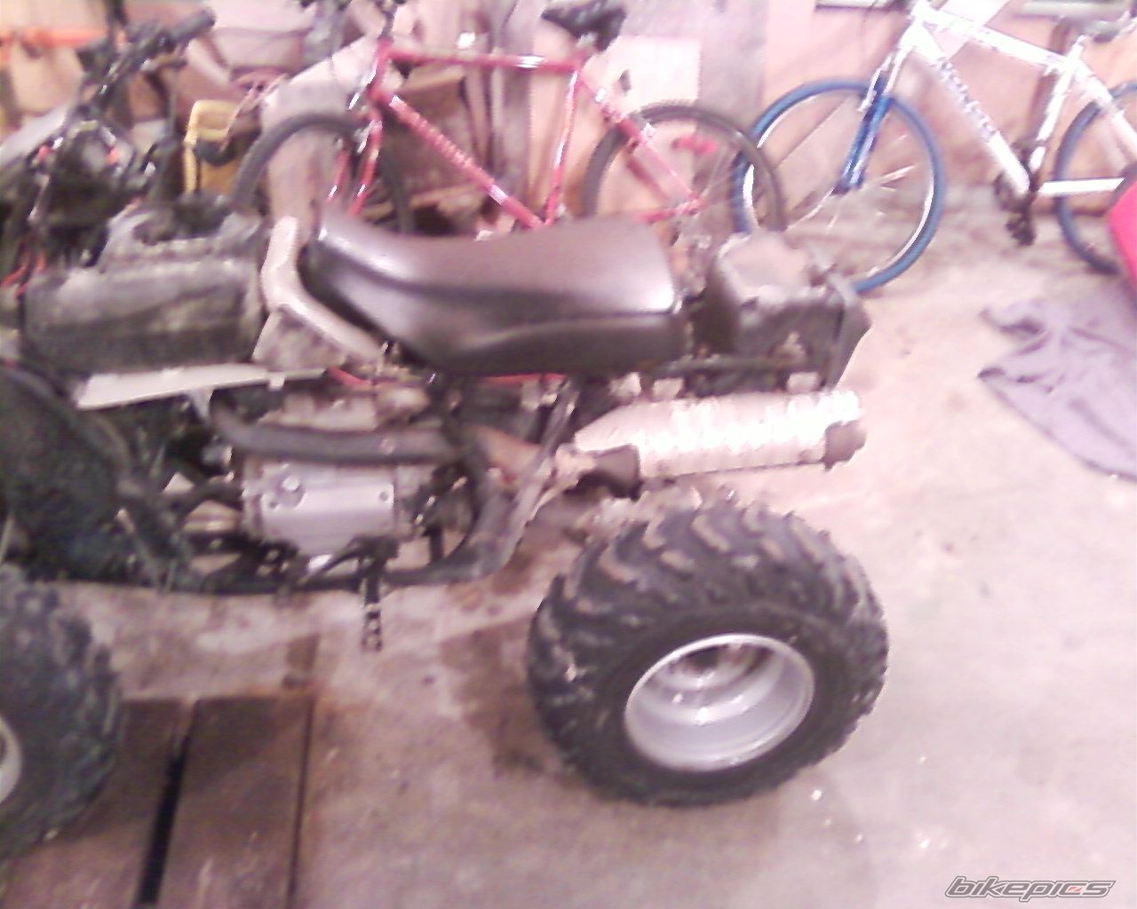 Photo 1946141