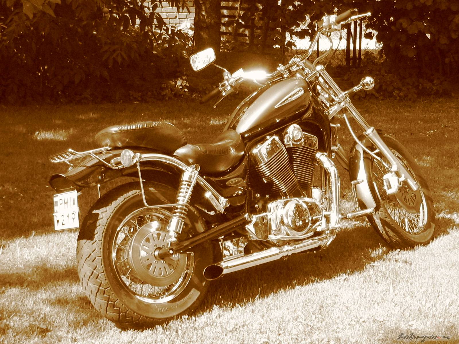 Photo 195101