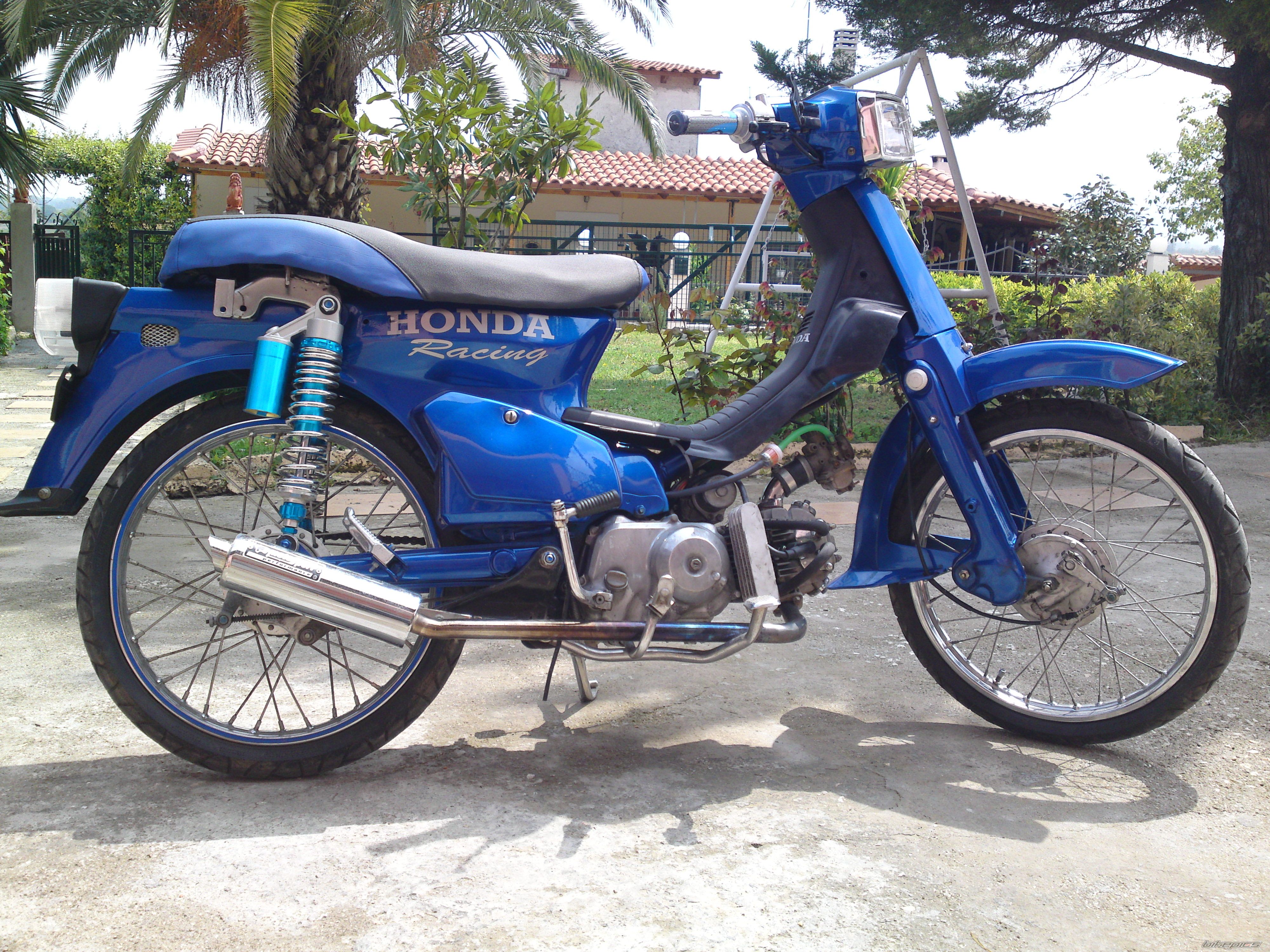 Photo 1951446