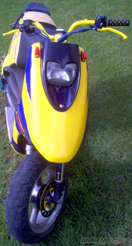 Photo 195335