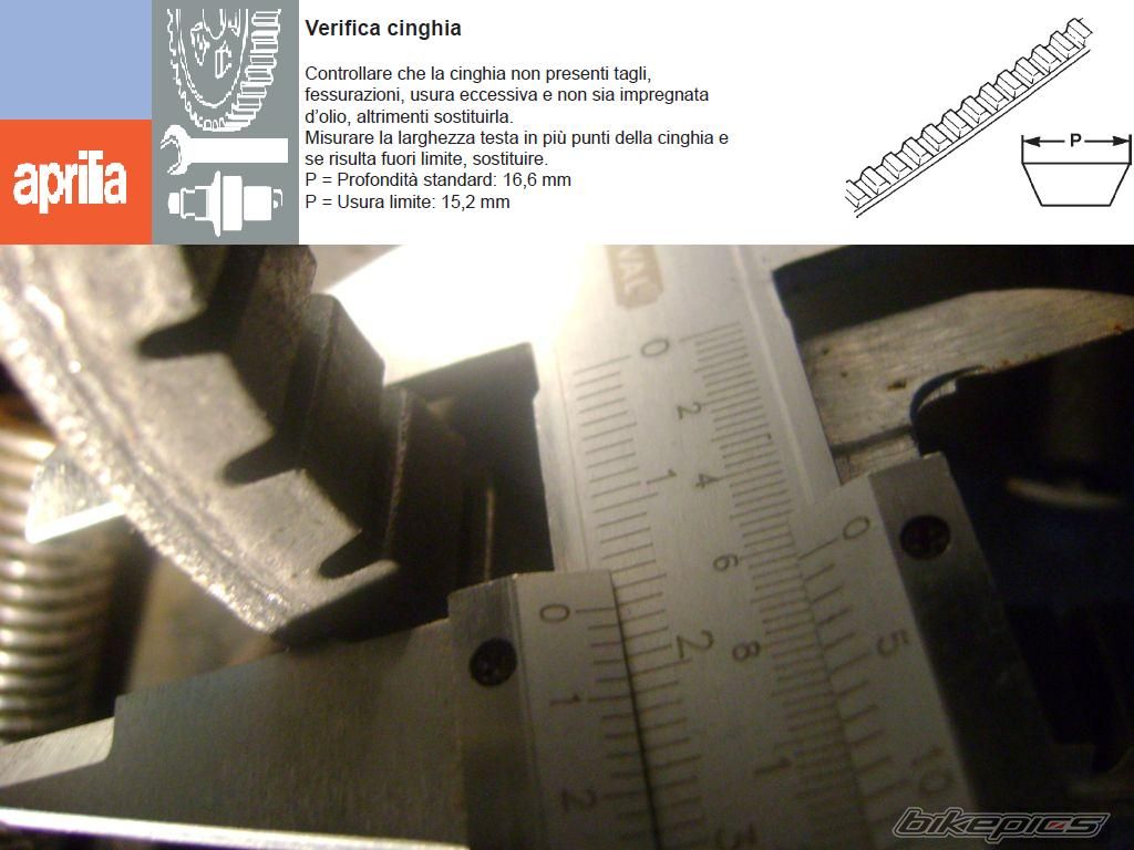 Photo 1953561