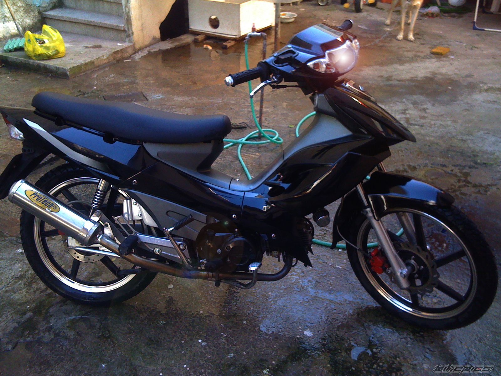 Photo 1953944