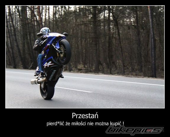 Photo 1962321