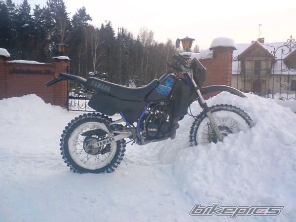 Bike Photo 1965249