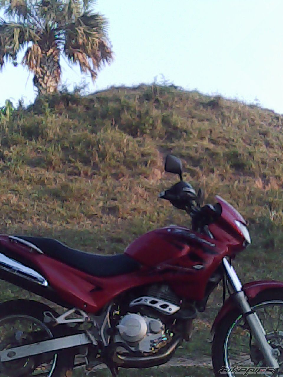 Photo 1967966