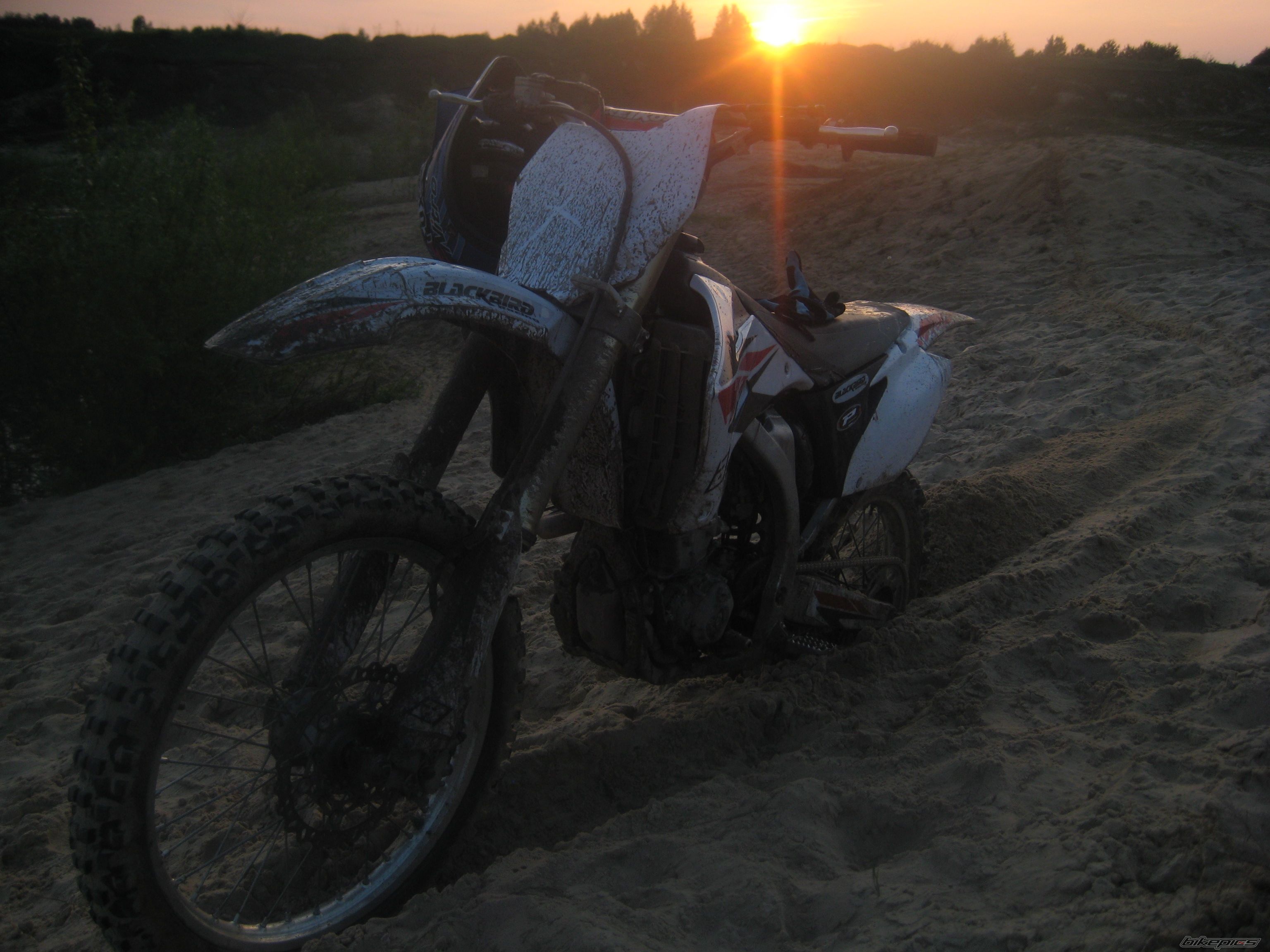 Photo 1971138