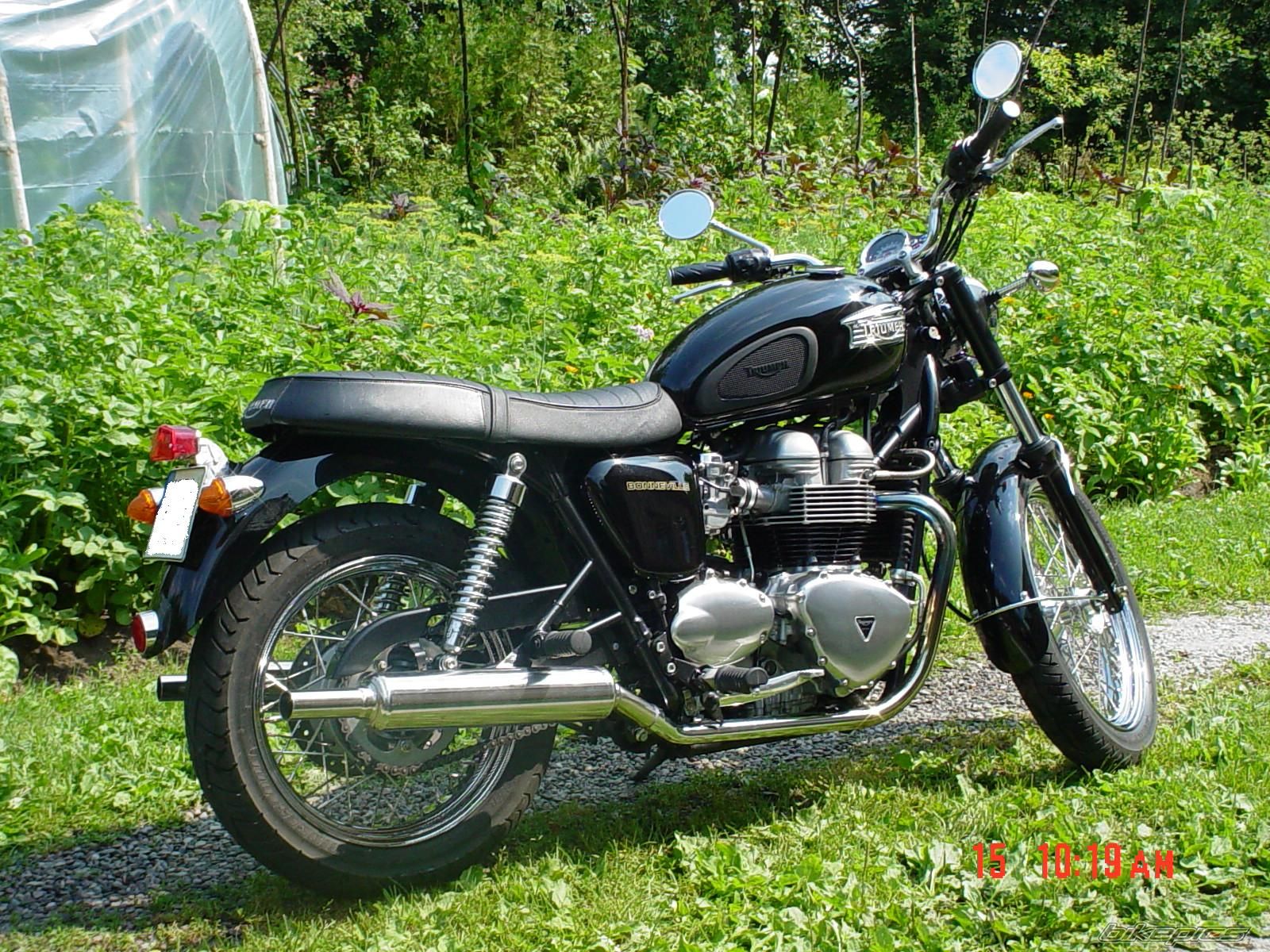 Photo 1971170