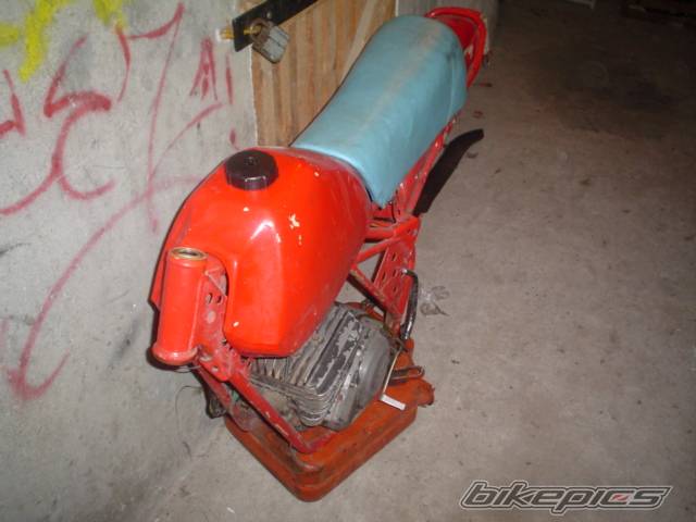 Photo 197910
