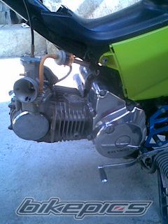 Photo 1979632