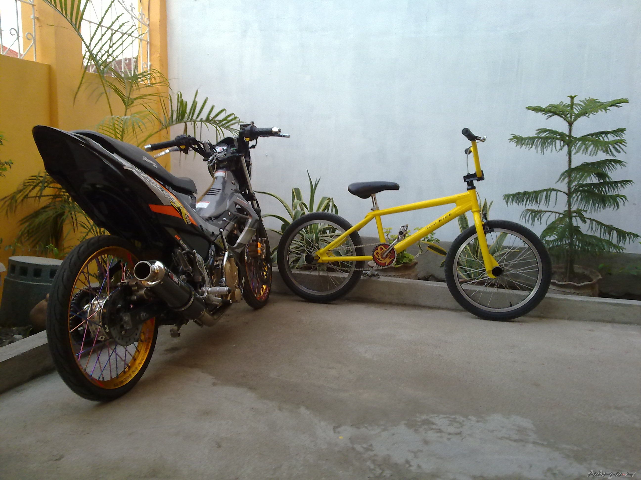 Bike Photo 1993233