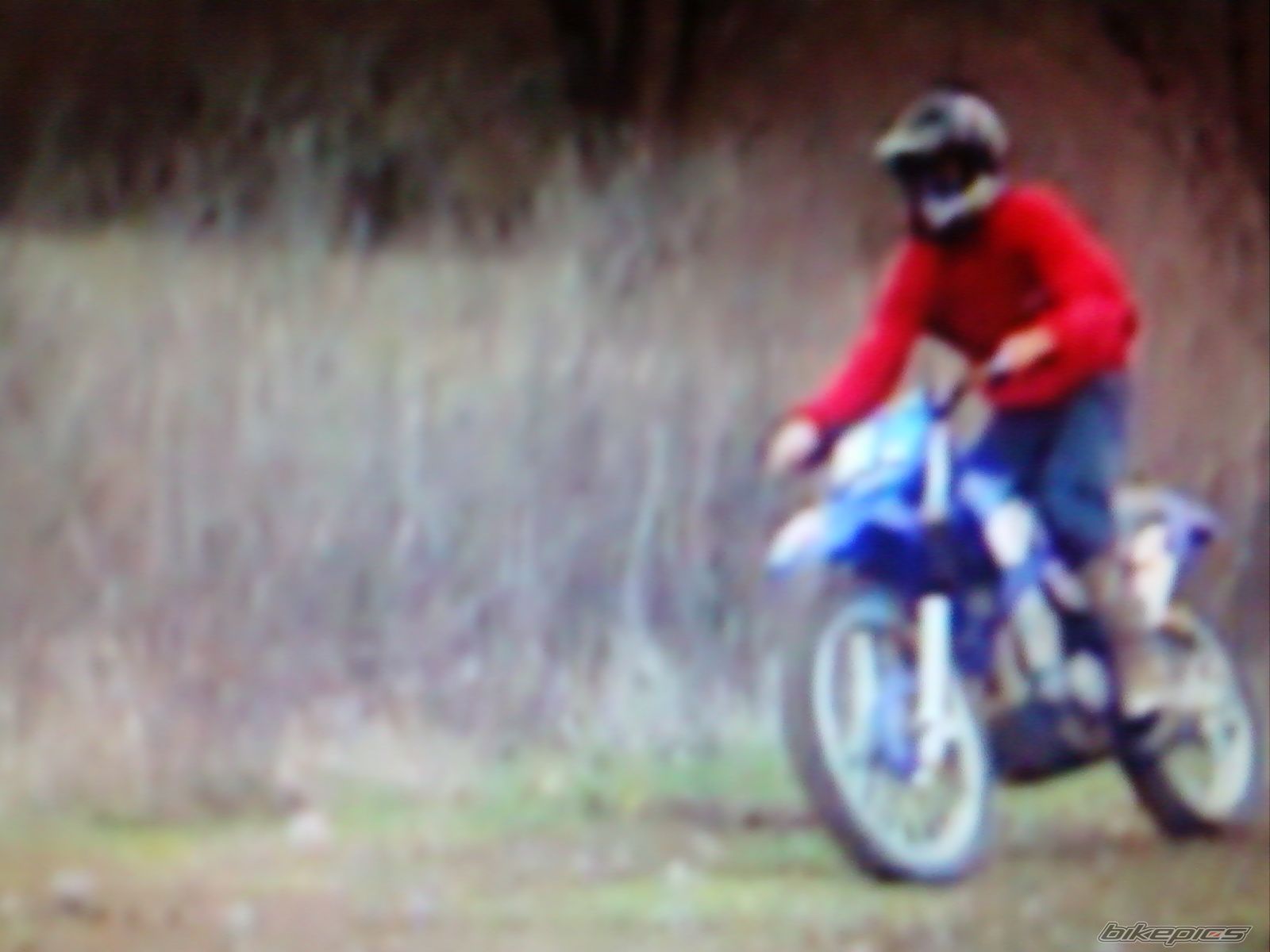 Photo 1997253