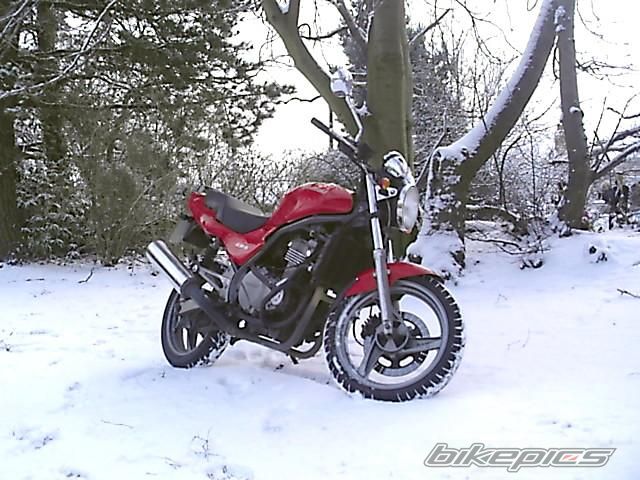Photo 1997996