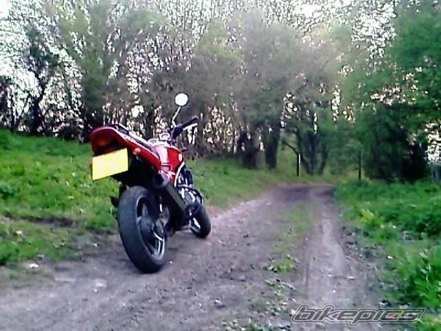 Photo 1998001