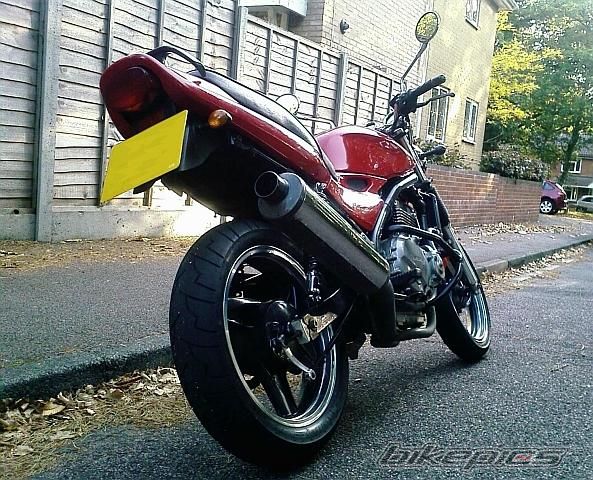 Photo 1998020