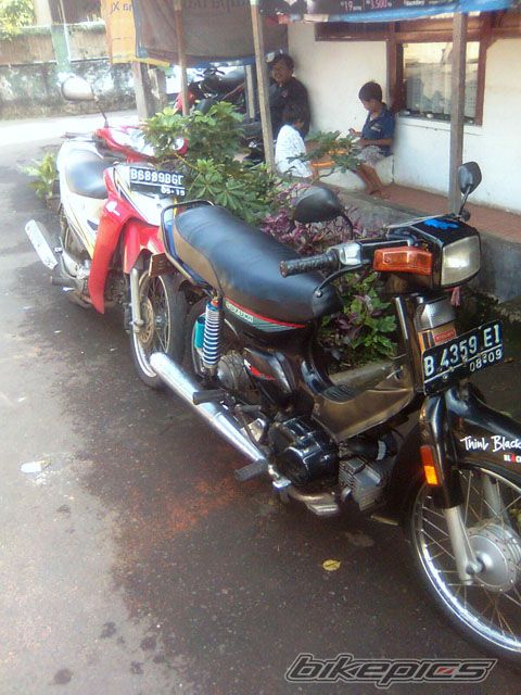 Photo 2002708