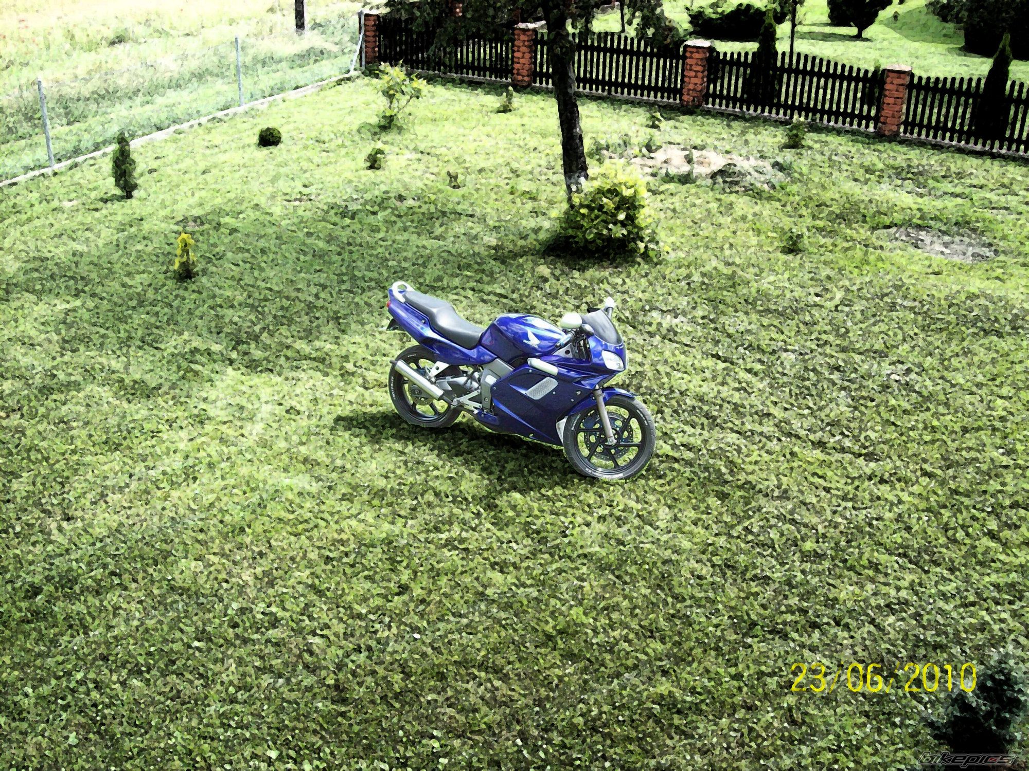 Photo 2004295