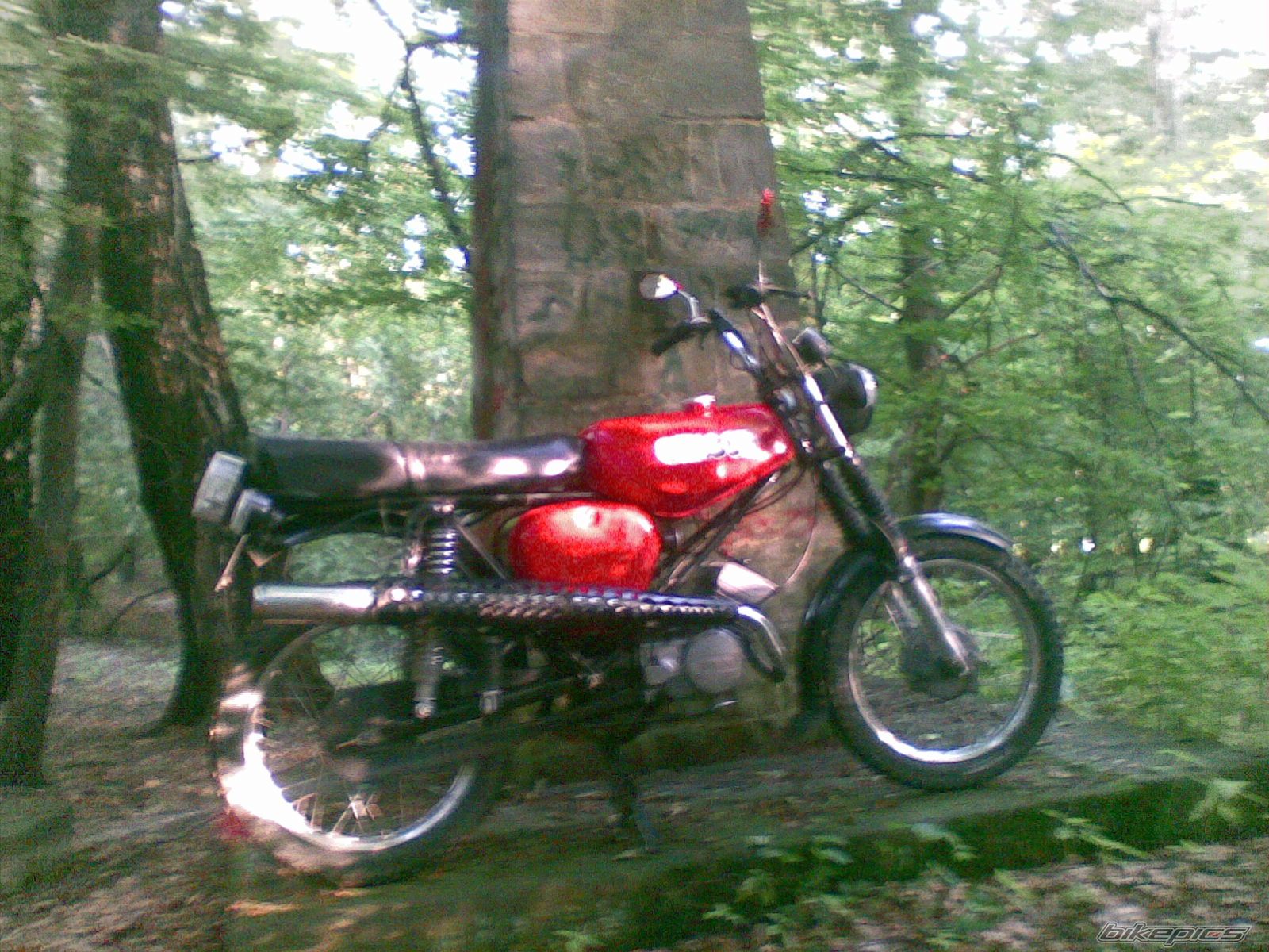 Photo 2005470