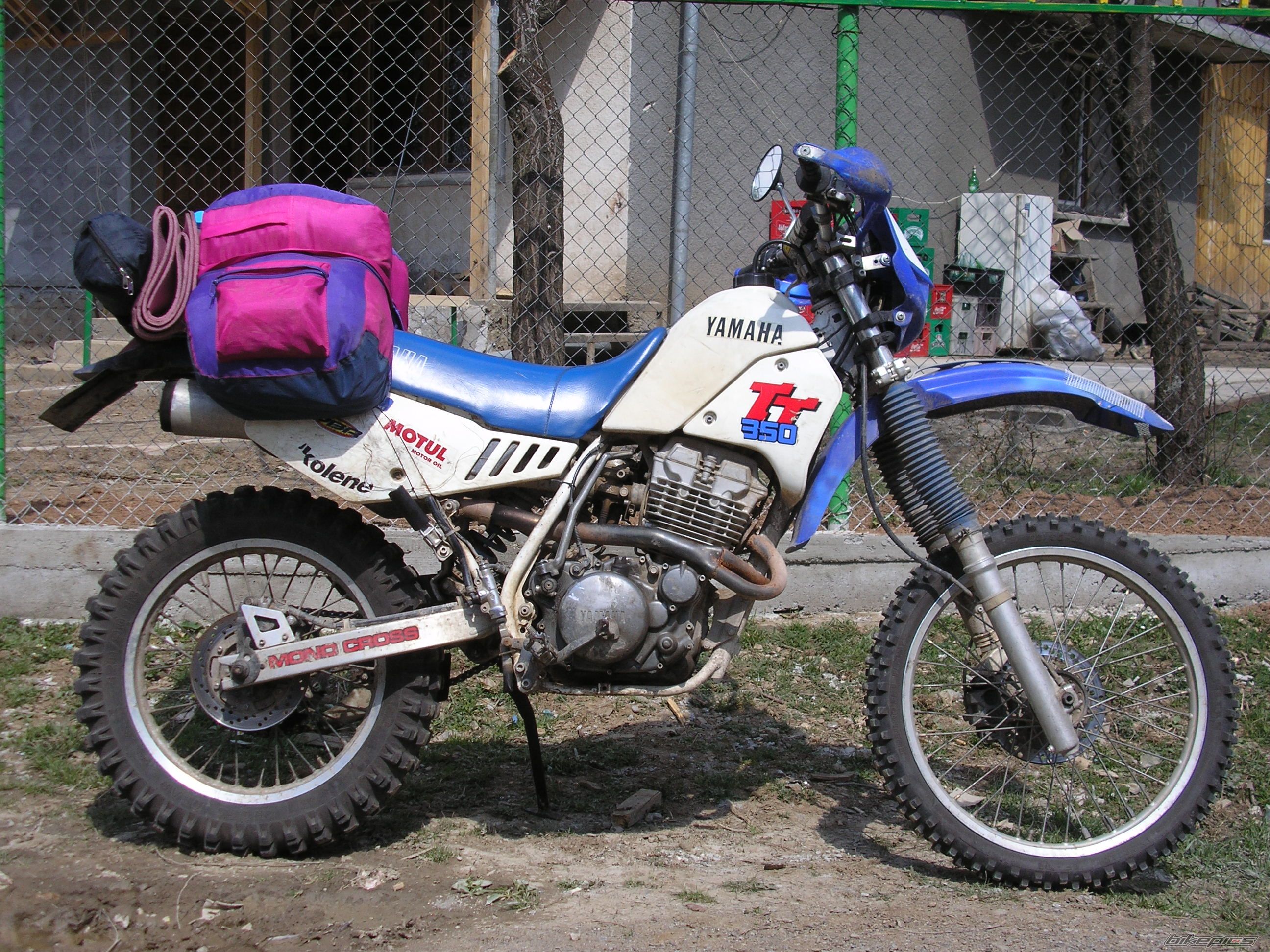 Photo 2006208
