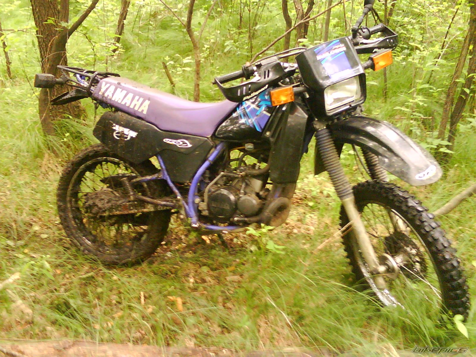 Bike Photo 2006355