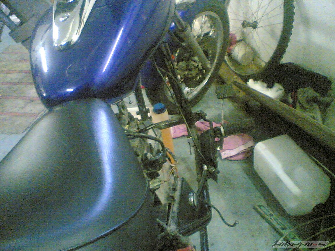 Photo 2006466