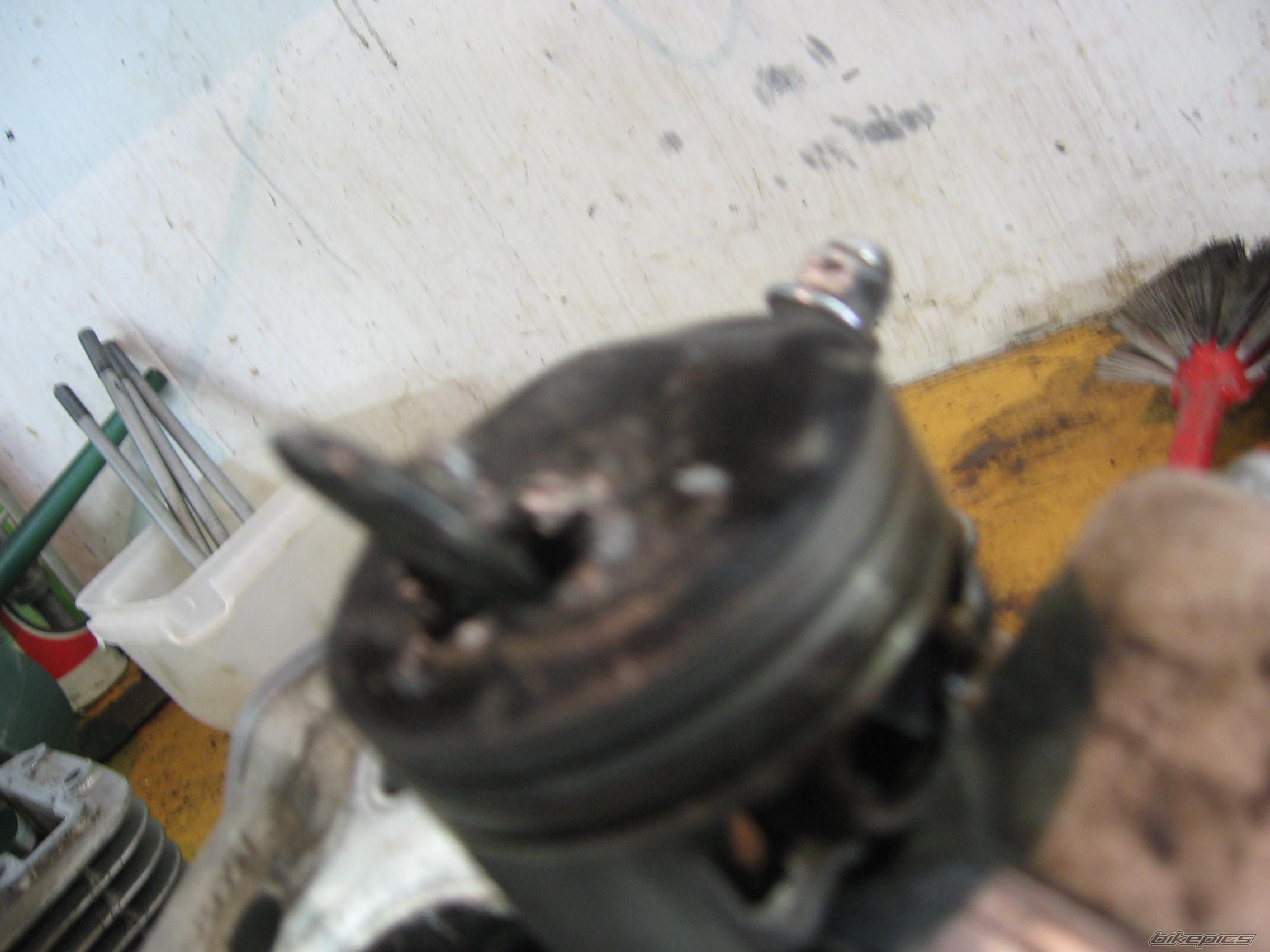 Photo 2006473