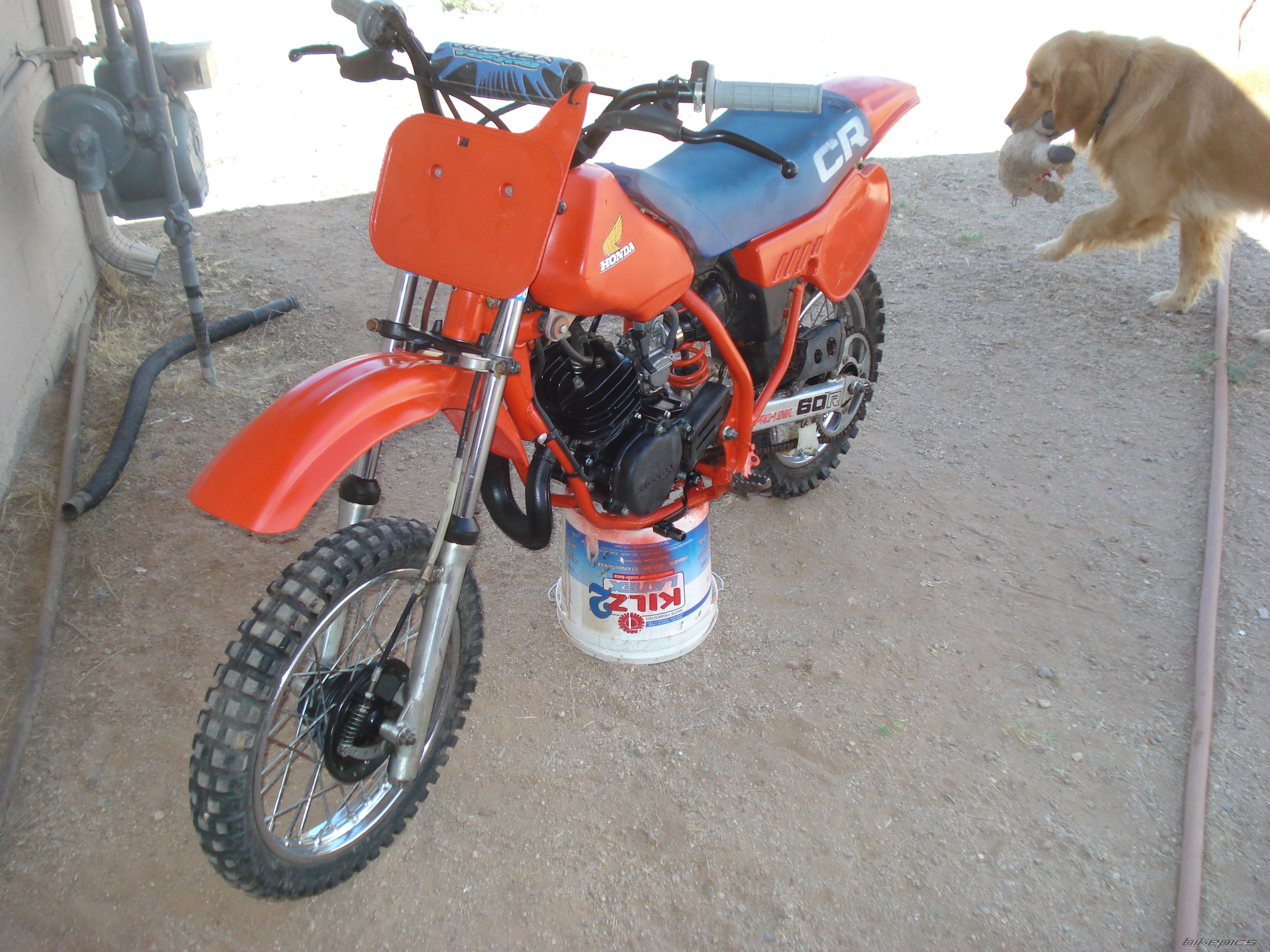 Photo 2007720