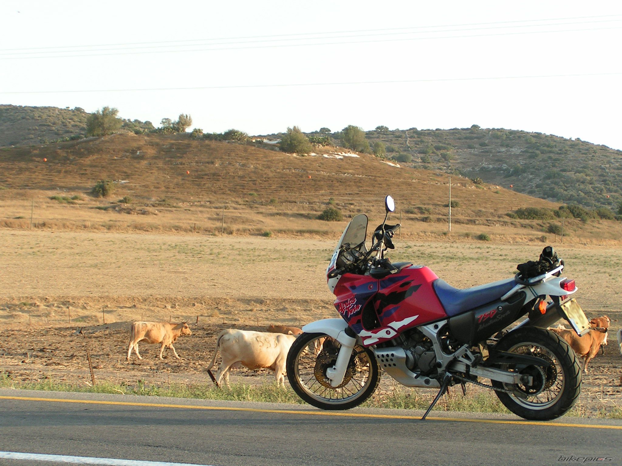 Photo 2008570