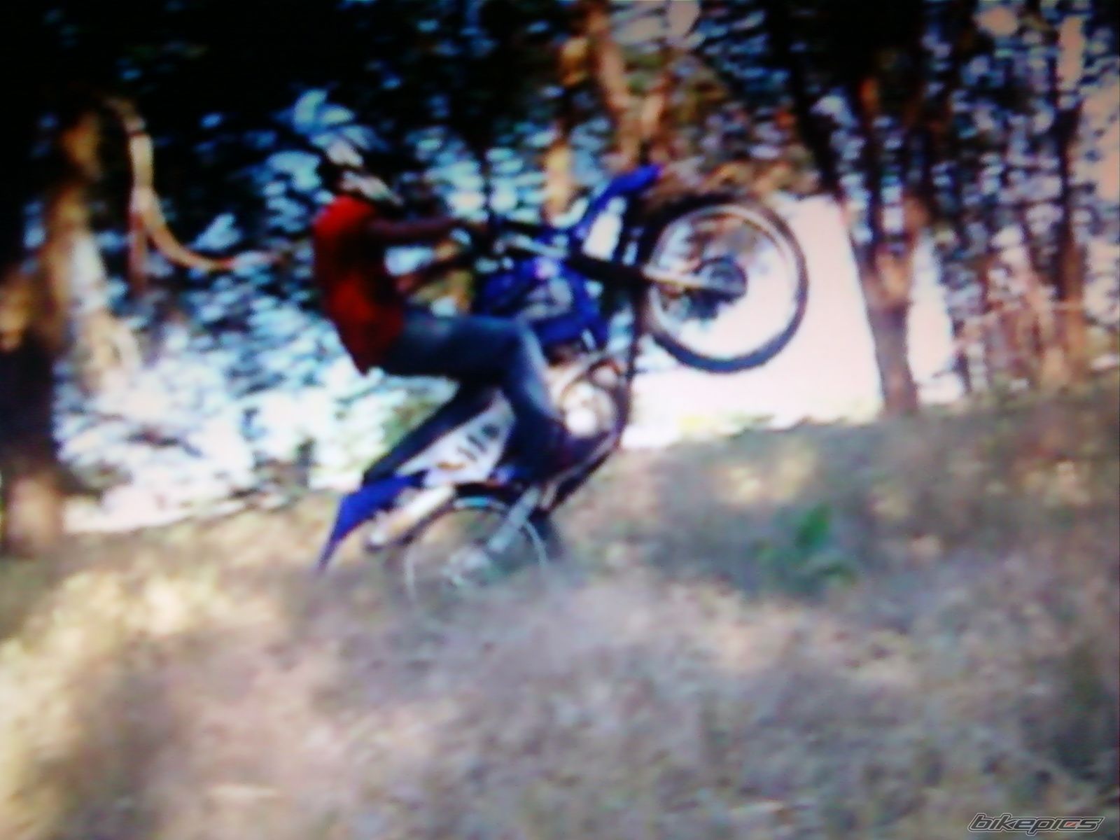 Photo 2010425
