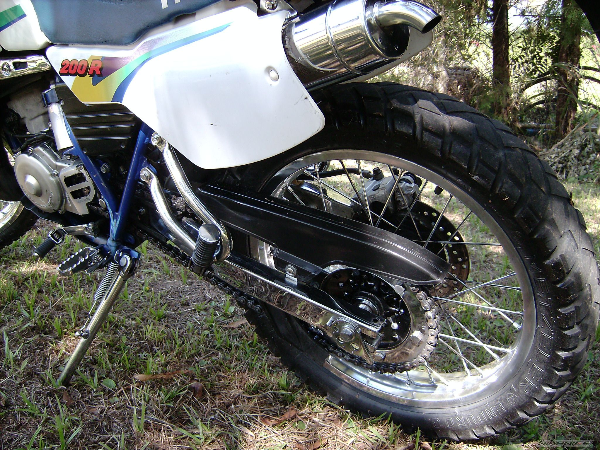 Photo 2010435