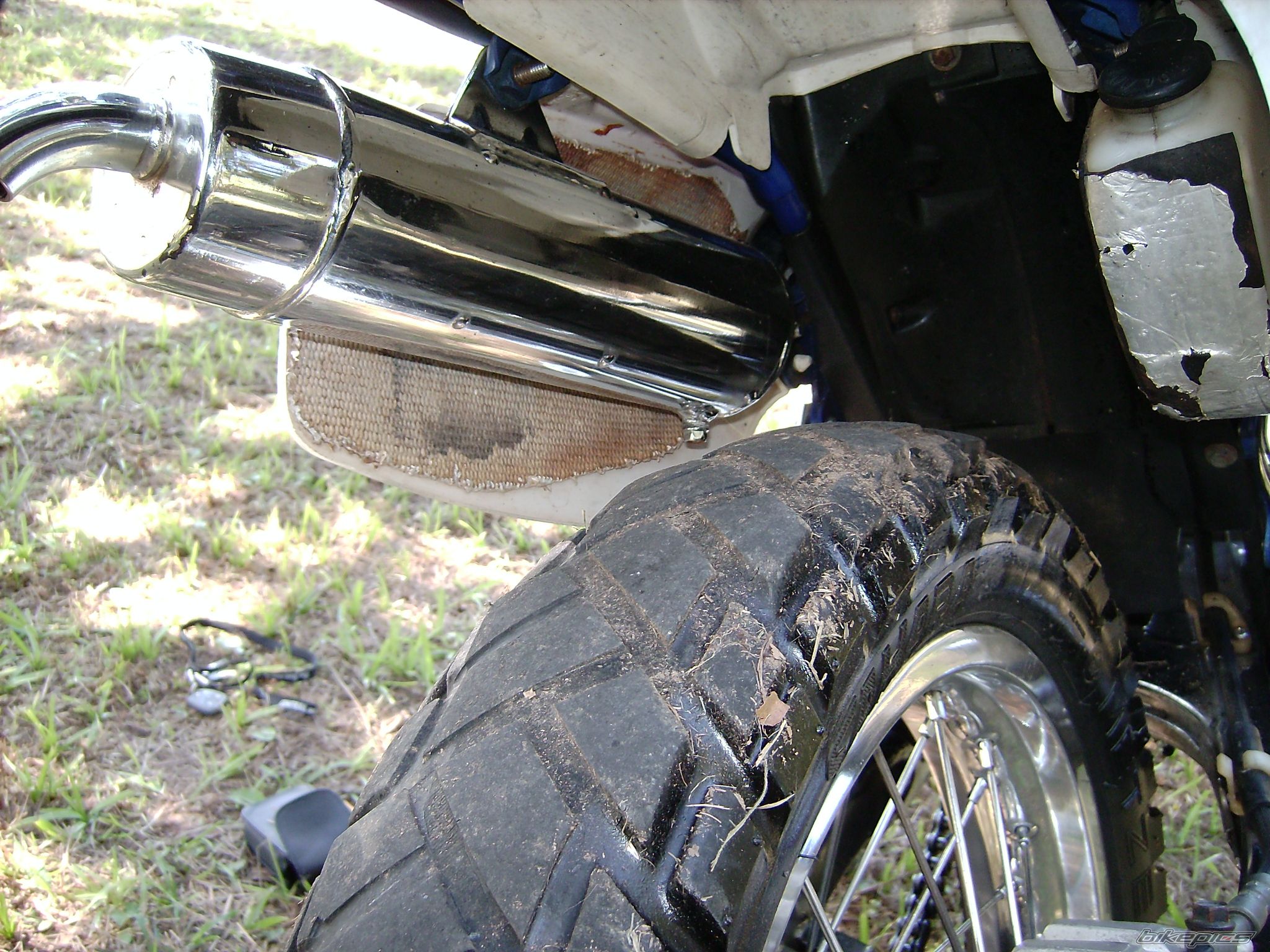 Photo 2010445