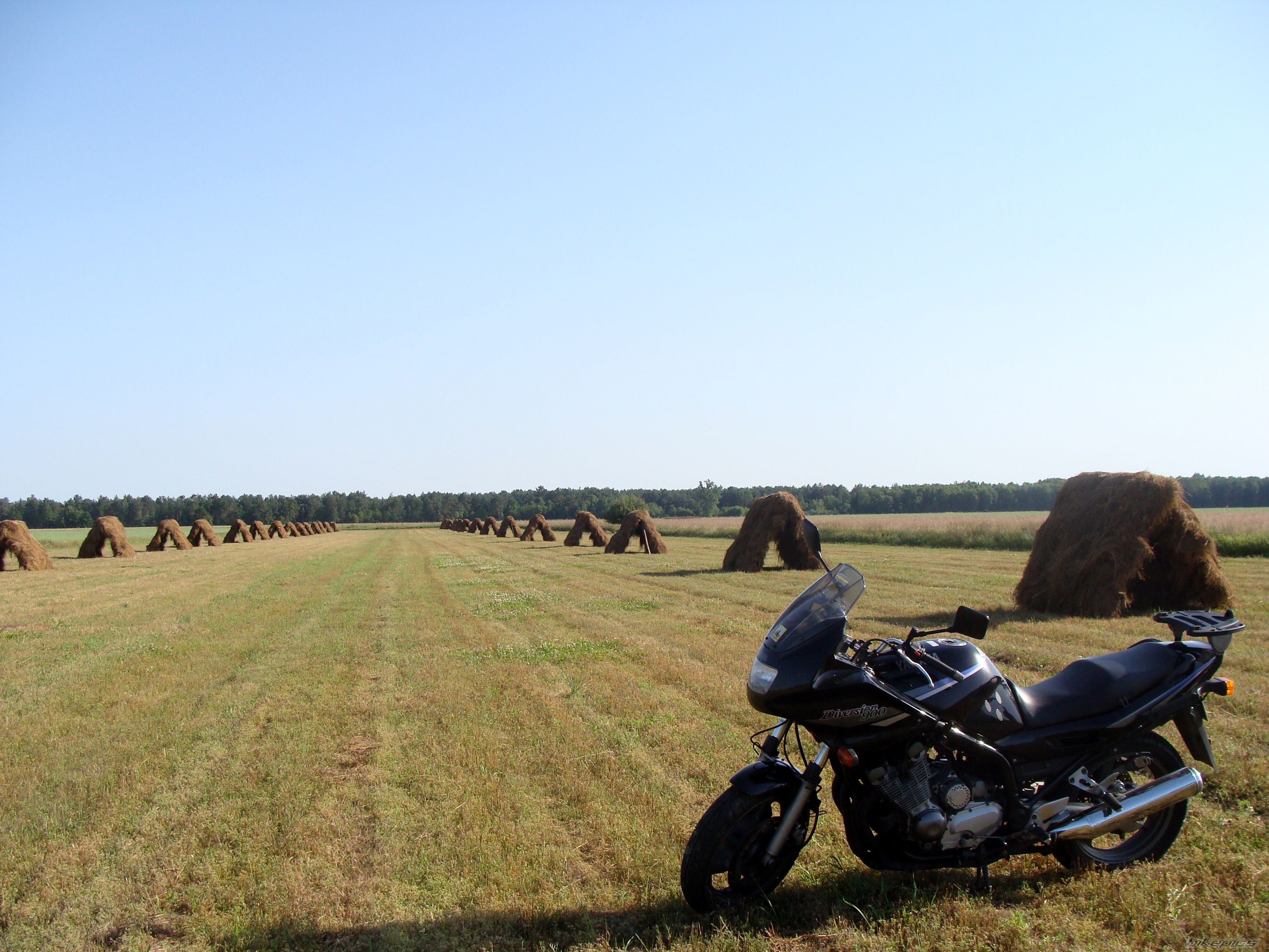 Photo 2011156